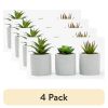 (4 pack) 3-Piece Succulent Set in Gray Cement Planters