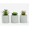 (4 pack) 3-Piece Succulent Set in Gray Cement Planters